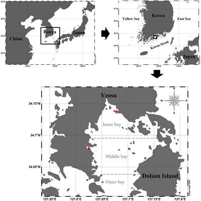 Impacts of hypoxia on the mesozooplankton community structure in a semi-enclosed bay